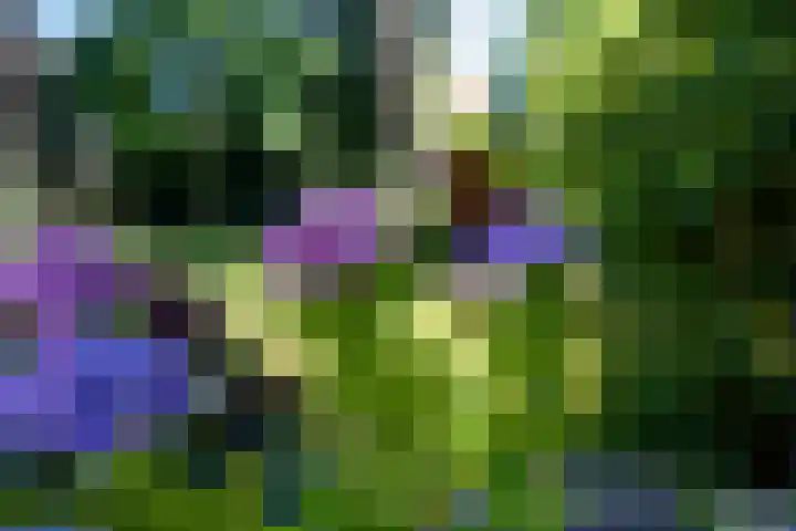 A.G. Wildervanckstraat 5 Wildervank thumbnail 39