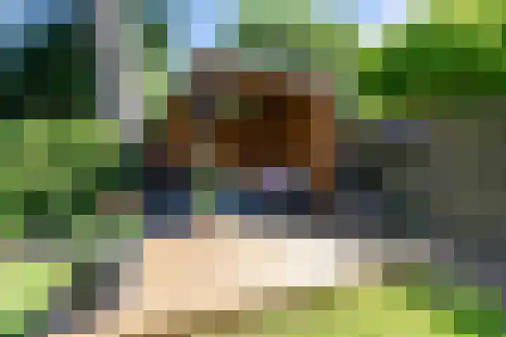 A.G. Wildervanckstraat 5 Wildervank thumbnail 5