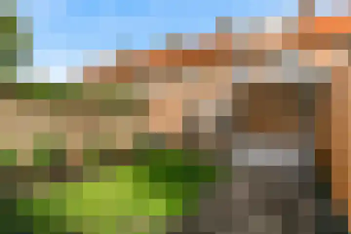 A.H. Blaauwstraat 22 Aalsmeer thumbnail 31