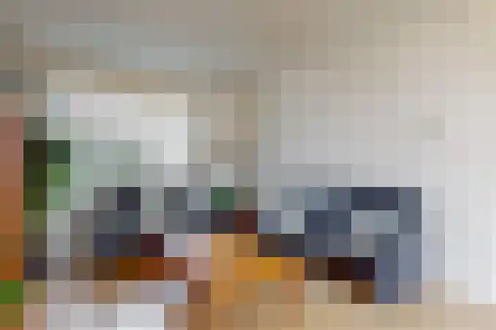 A.H. Blaauwstraat 22 Aalsmeer thumbnail 5
