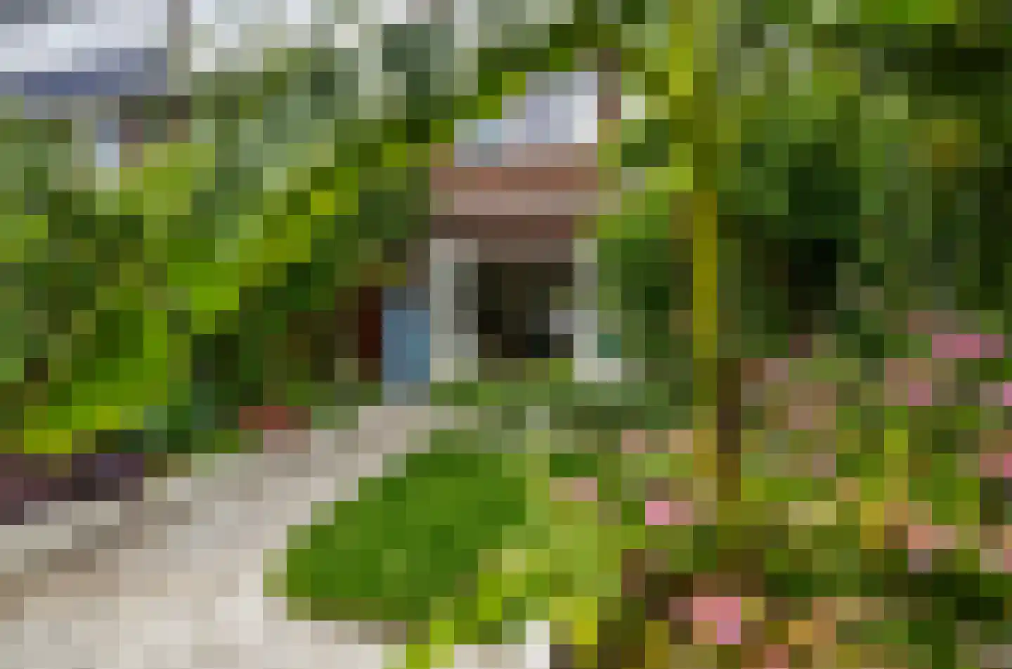 A.H.G. Fokkerstraat 19 Utrecht thumbnail 29