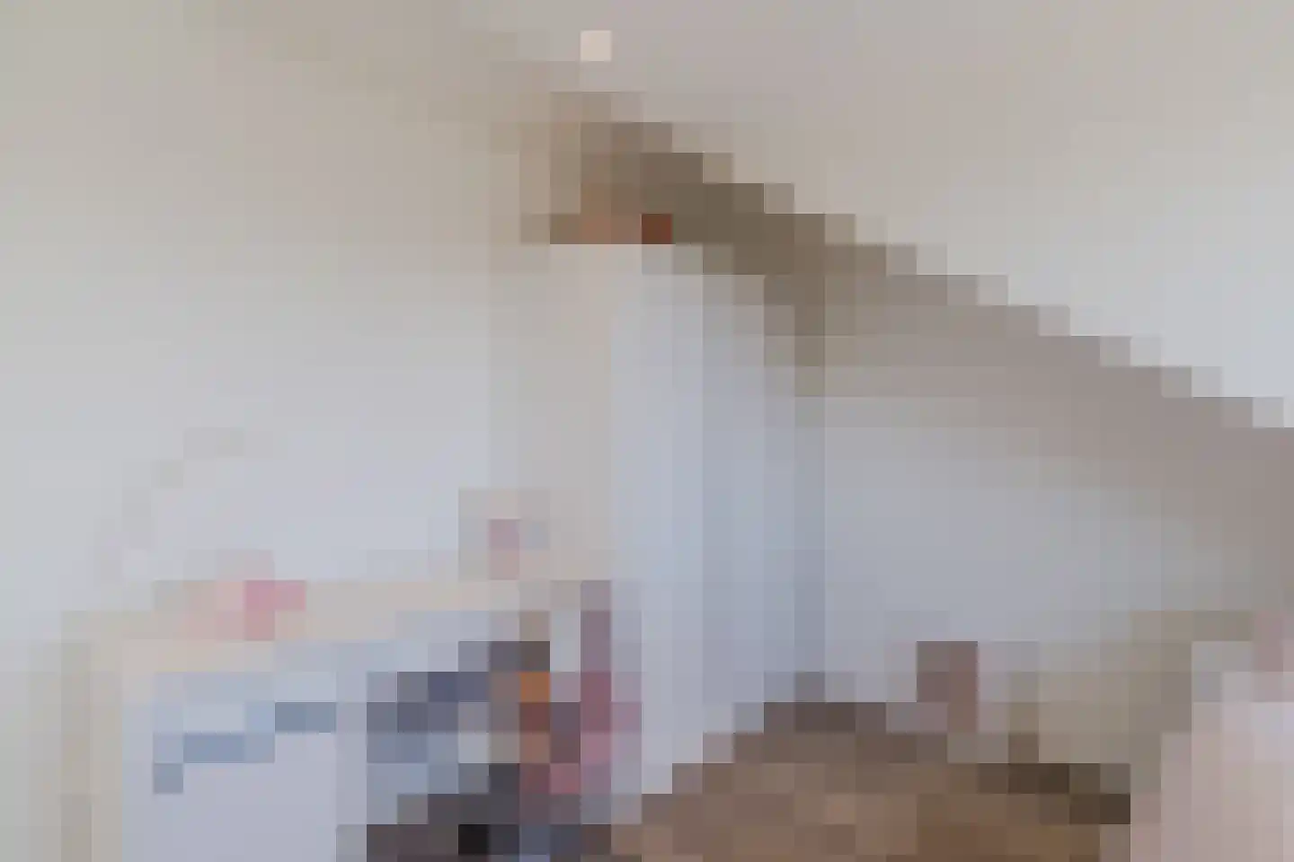 A.H.G. Fokkerstraat 23 Utrecht thumbnail 60