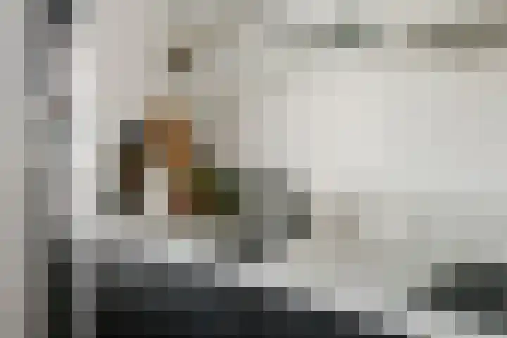 A.H.H. Tolhuisenstraat 45 Meteren thumbnail 10