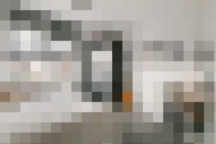 A.H.H. Tolhuisenstraat 45 Meteren thumbnail 15