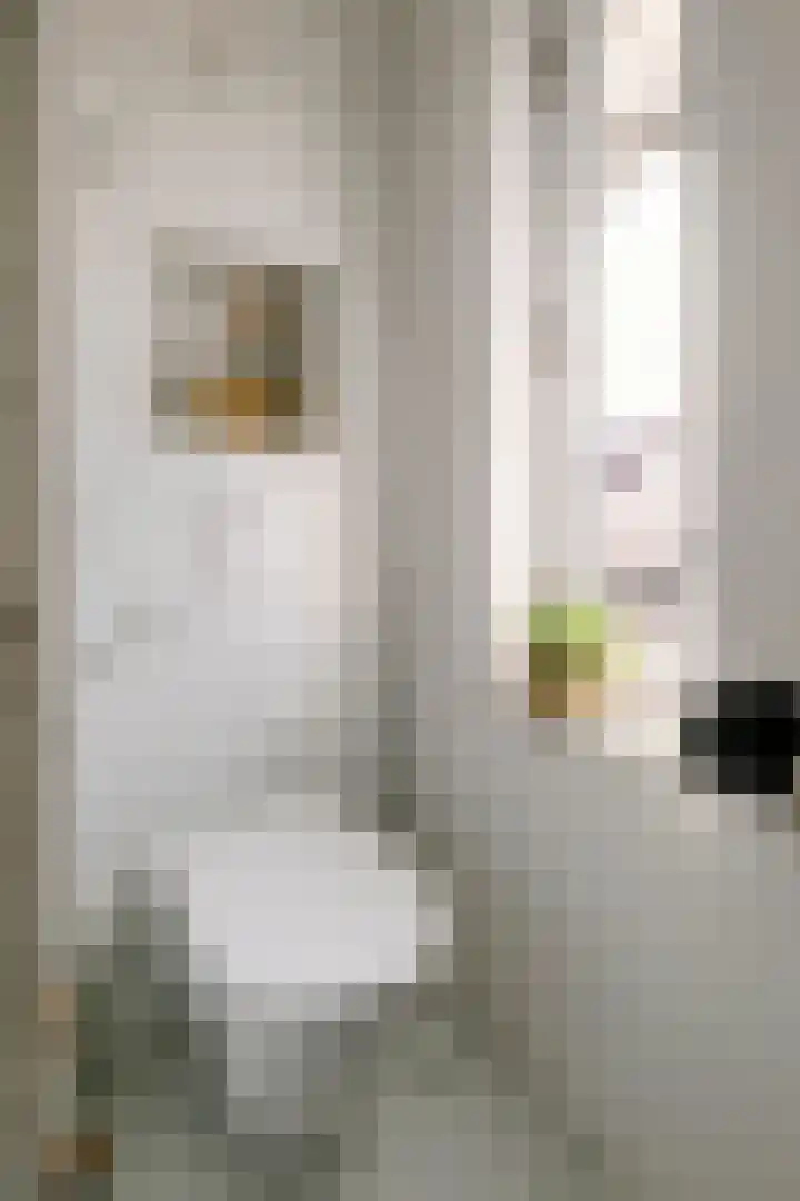 A.H.H. Tolhuisenstraat 45 Meteren thumbnail 20