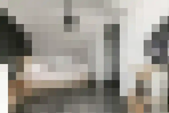 A.H.H. Tolhuisenstraat 45 Meteren thumbnail 24