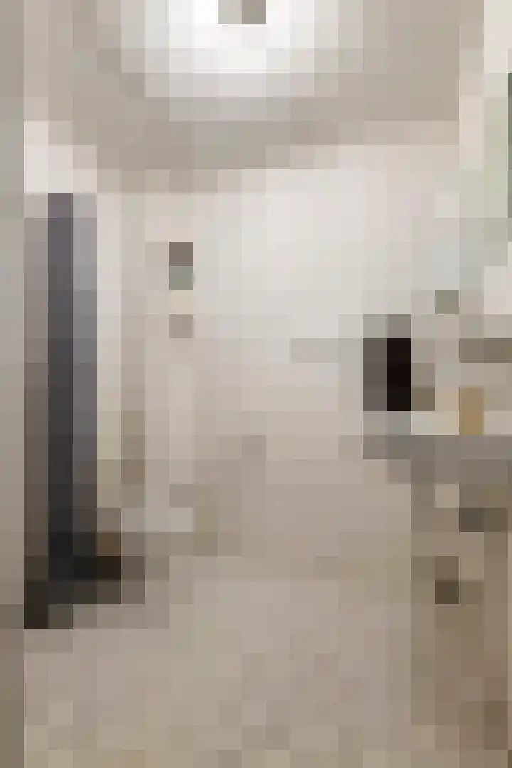 A.H.H. Tolhuisenstraat 75 Meteren thumbnail 23