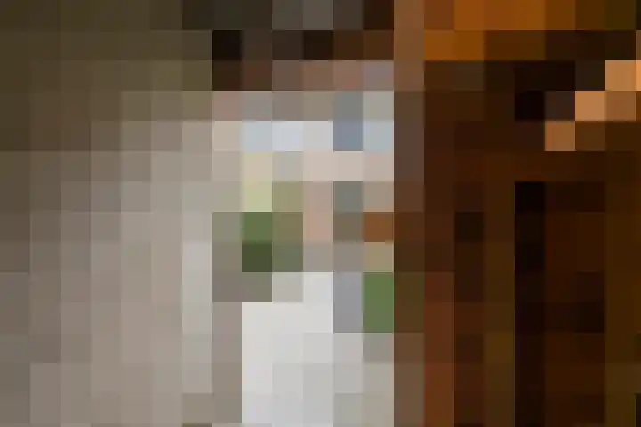 A.H.H. Tolhuisenstraat 75 Meteren thumbnail 30