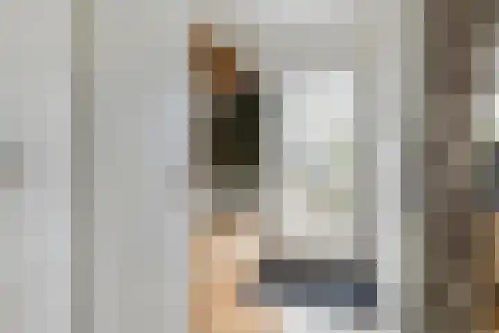 A.H.H. Tolhuisenstraat 75 Meteren thumbnail 4