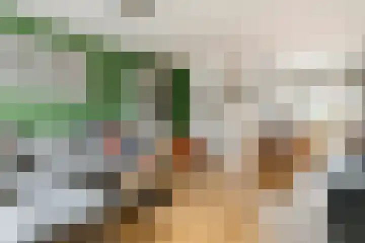 A.H.H. Tolhuisenstraat 75 Meteren thumbnail 8