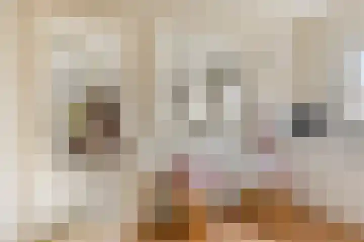 A.H. Homanstraat 12 Ten Boer thumbnail 11