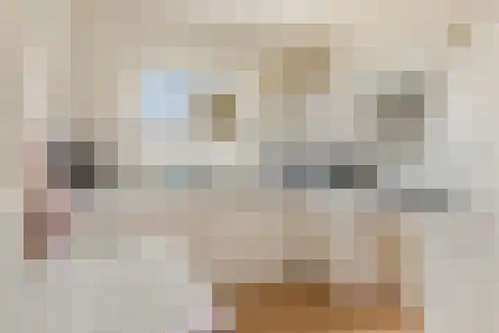 A.H. Homanstraat 12 Ten Boer thumbnail 13