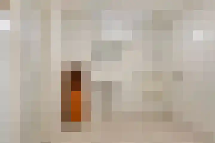 A.H. Homanstraat 12 Ten Boer thumbnail 18