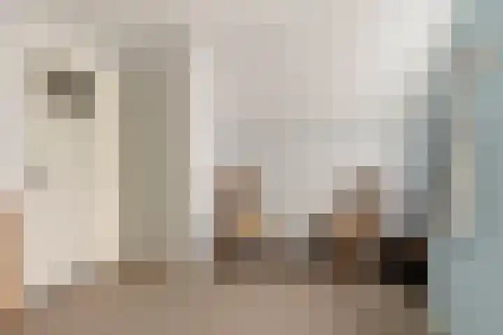 A.H. Homanstraat 12 Ten Boer thumbnail 21
