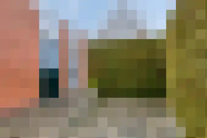 A.H. Homanstraat 12 Ten Boer thumbnail 28