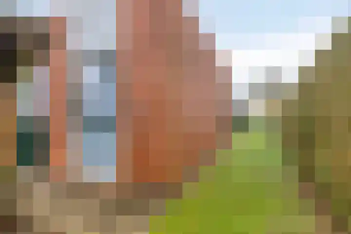A.H. Homanstraat 12 Ten Boer thumbnail 30