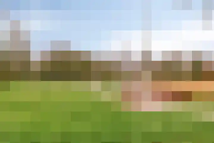 A.H. Homanstraat 12 Ten Boer thumbnail 31