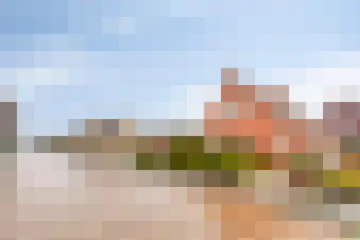 A.H. Homanstraat 12 Ten Boer thumbnail 33