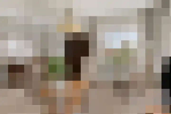 A.H. Homanstraat 12 Ten Boer thumbnail 7
