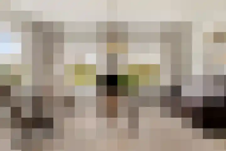 A.H. Homanstraat 12 Ten Boer thumbnail 8