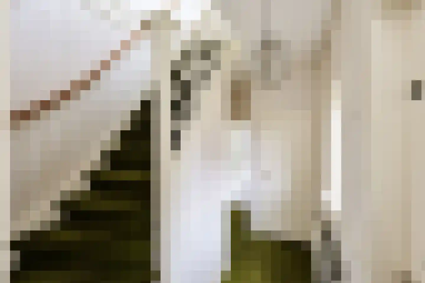 A.H. Kooistrastraat 136 Nieuwveen thumbnail 6
