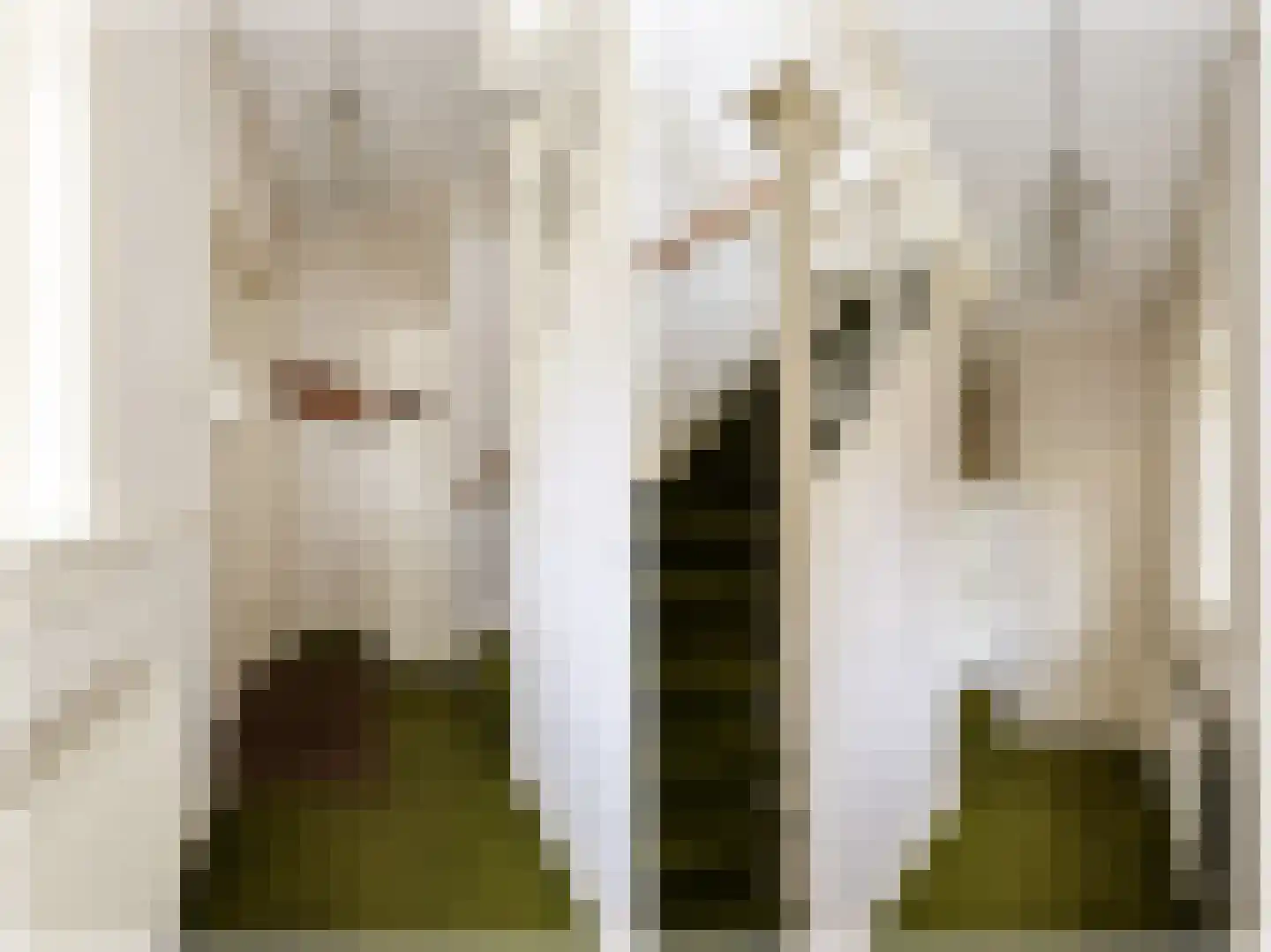 A.H. Kooistrastraat 136 Nieuwveen thumbnail 7