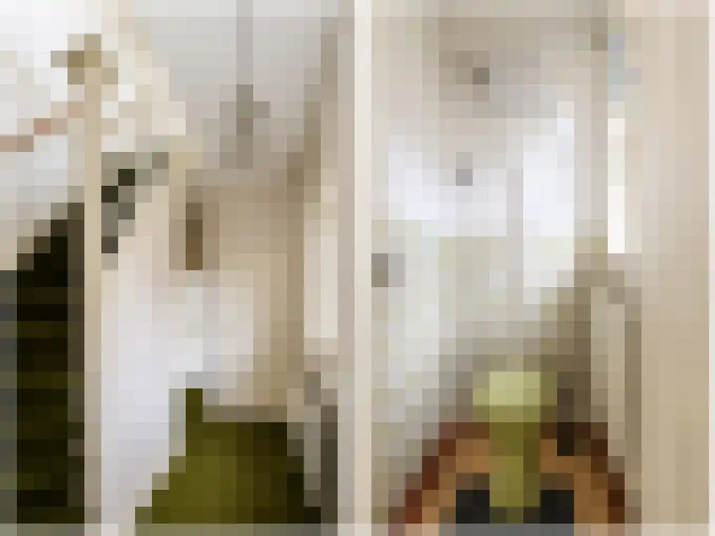 A.H. Kooistrastraat 136 Nieuwveen thumbnail 8
