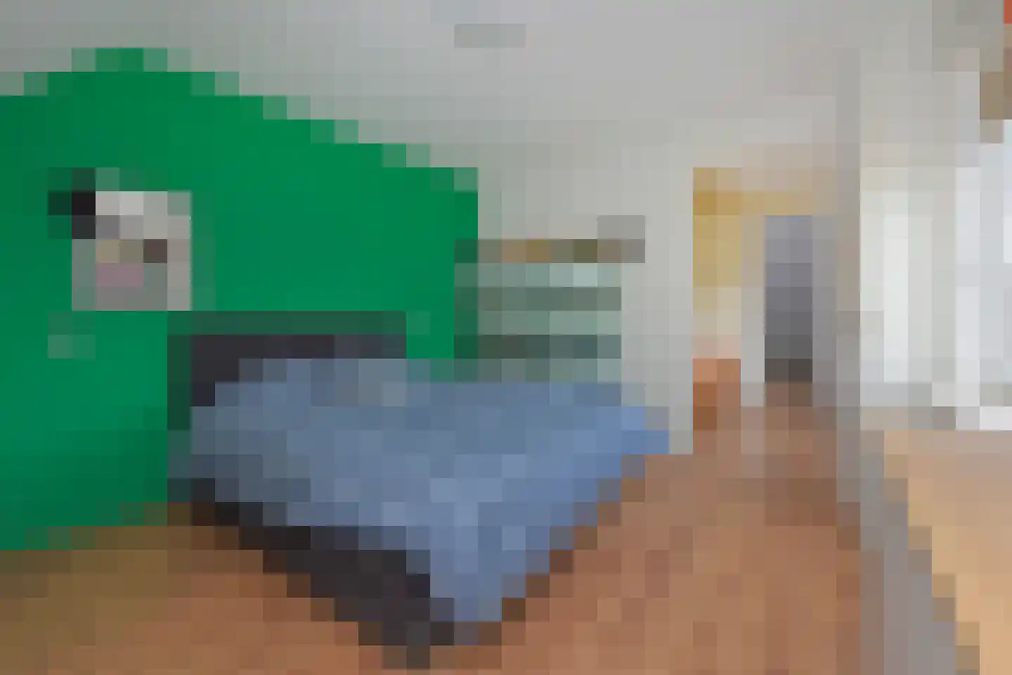 A.H. Kooistrastraat 27 Nieuwveen thumbnail 28
