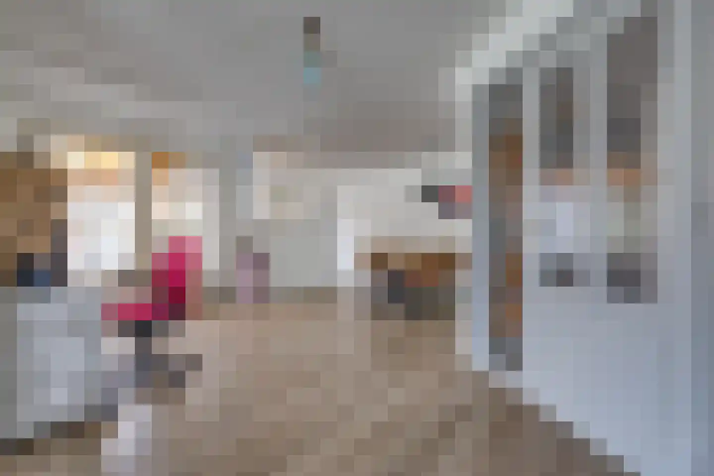 A.H. van Swinderenstraat 1 Musselkanaal thumbnail 15