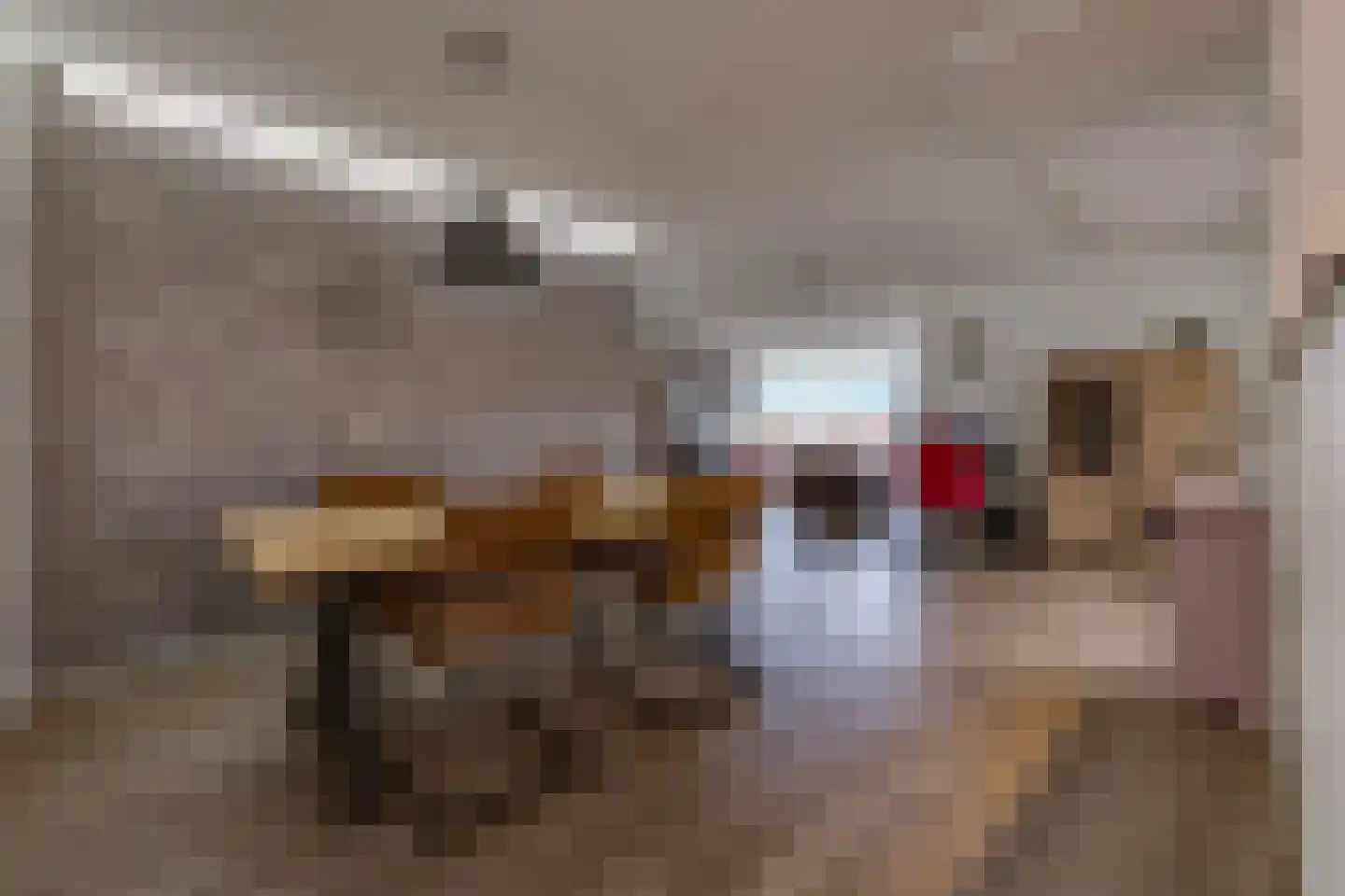 A.H. van Swinderenstraat 1 Musselkanaal thumbnail 16