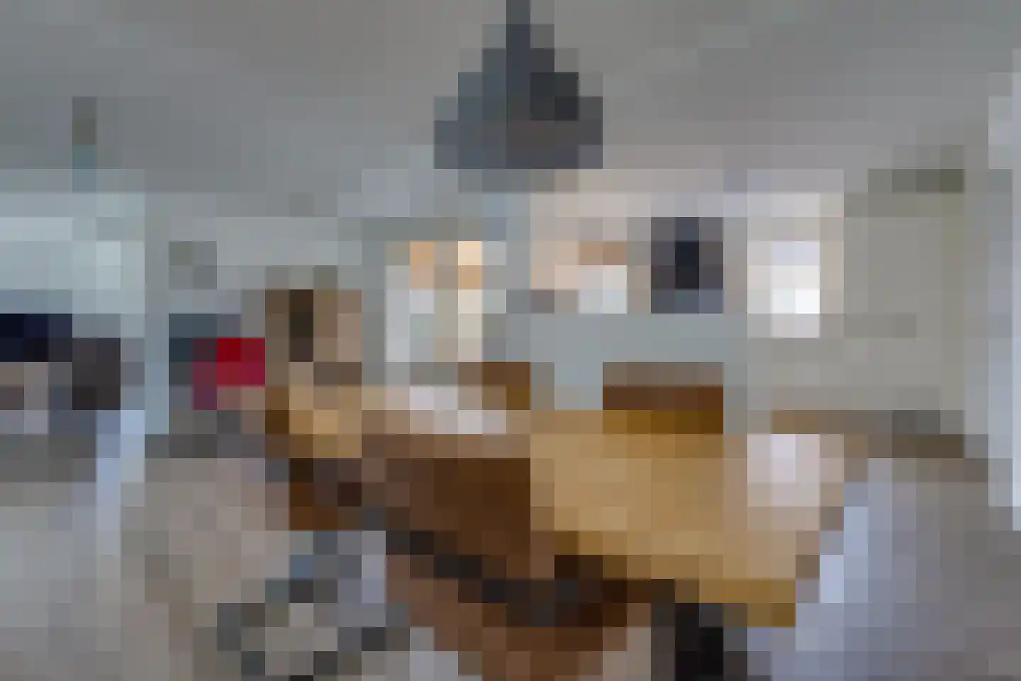 A.H. van Swinderenstraat 1 Musselkanaal thumbnail 17