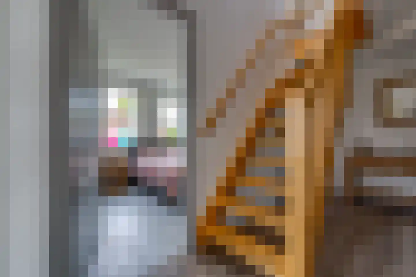 A.H. van Swinderenstraat 1 Musselkanaal thumbnail 27