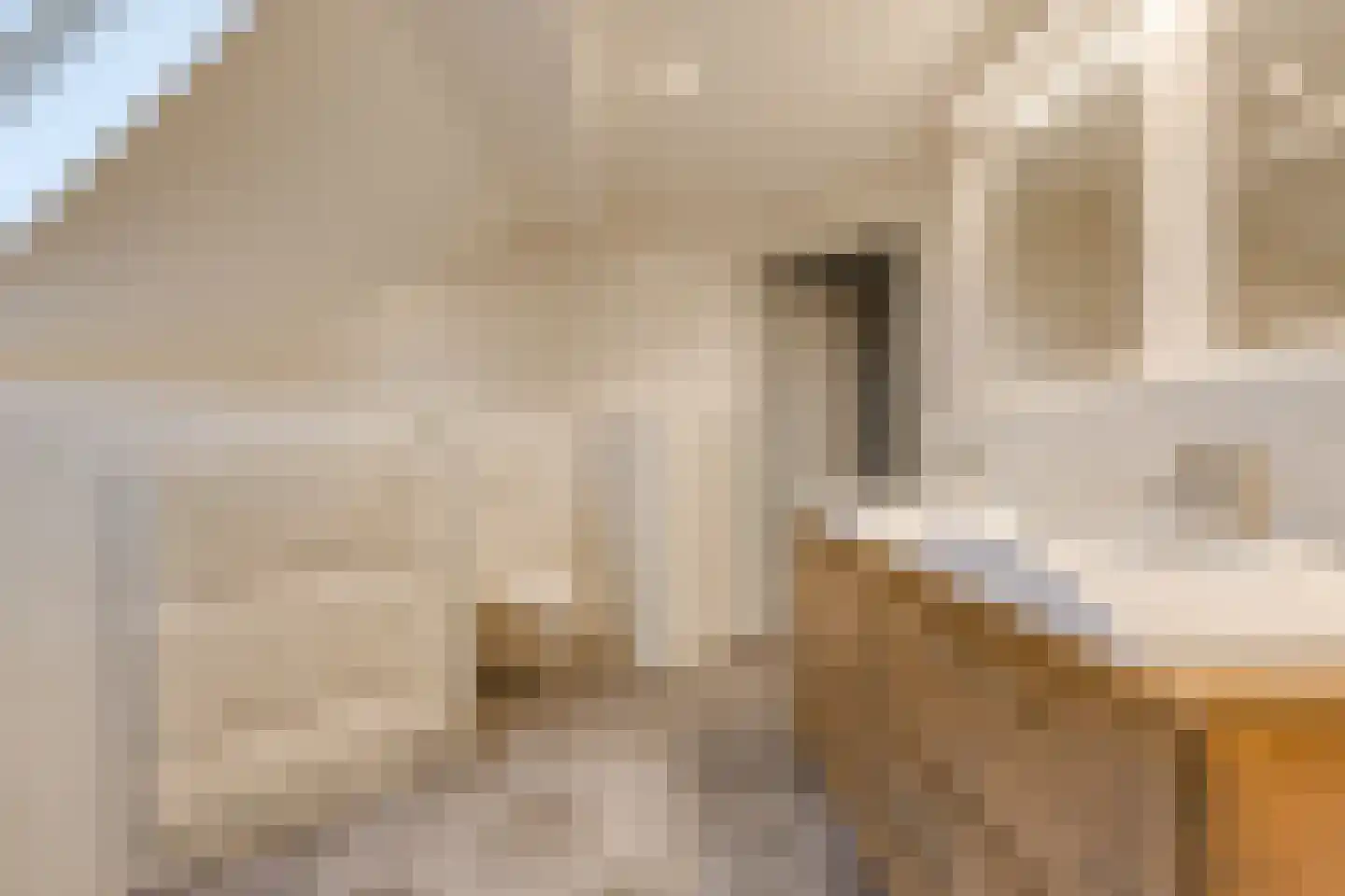 A.H. van Swinderenstraat 1 Musselkanaal thumbnail 42