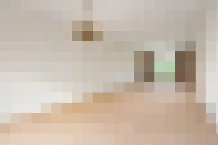 A.H. Verweijweg 4 Berkel en Rodenrijs thumbnail 10