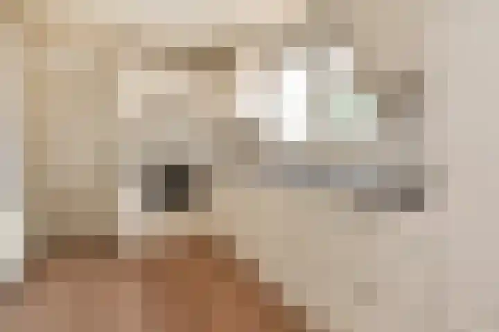 A.H. Verweijweg 4 Berkel en Rodenrijs thumbnail 16