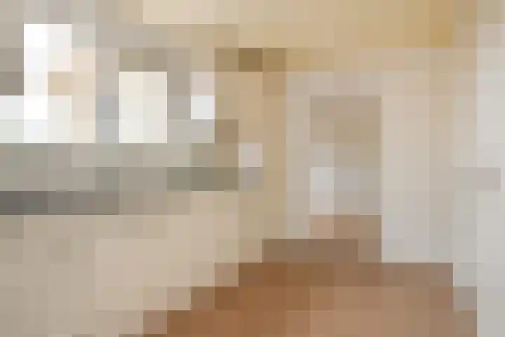 A.H. Verweijweg 4 Berkel en Rodenrijs thumbnail 18