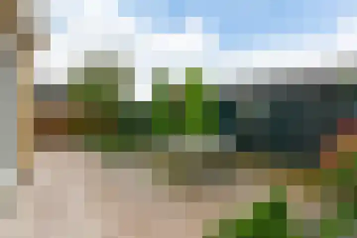 A.H. Verweijweg 4 Berkel en Rodenrijs thumbnail 21