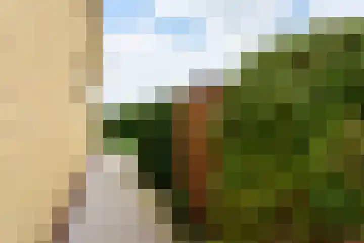 A.H. Verweijweg 4 Berkel en Rodenrijs thumbnail 24