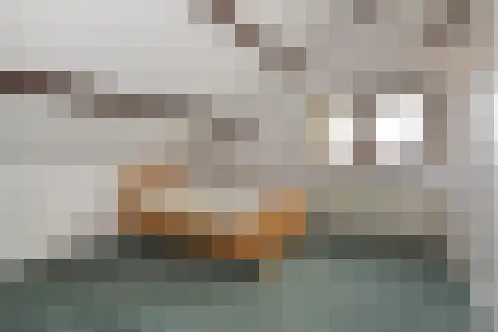 A.H. Verweijweg 4 Berkel en Rodenrijs thumbnail 33