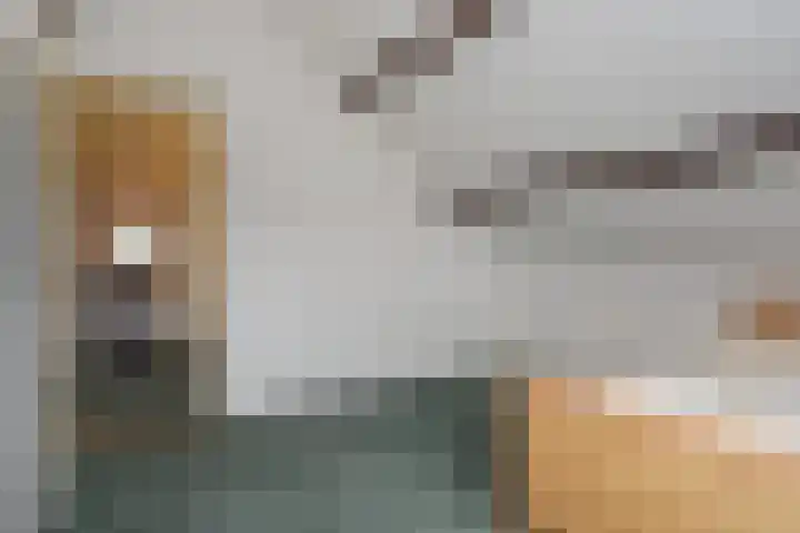 A.H. Verweijweg 4 Berkel en Rodenrijs thumbnail 34