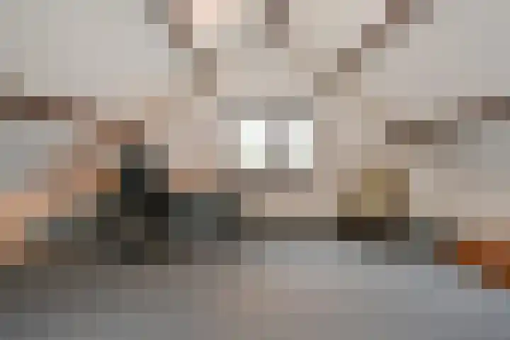 A.H. Verweijweg 4 Berkel en Rodenrijs thumbnail 36
