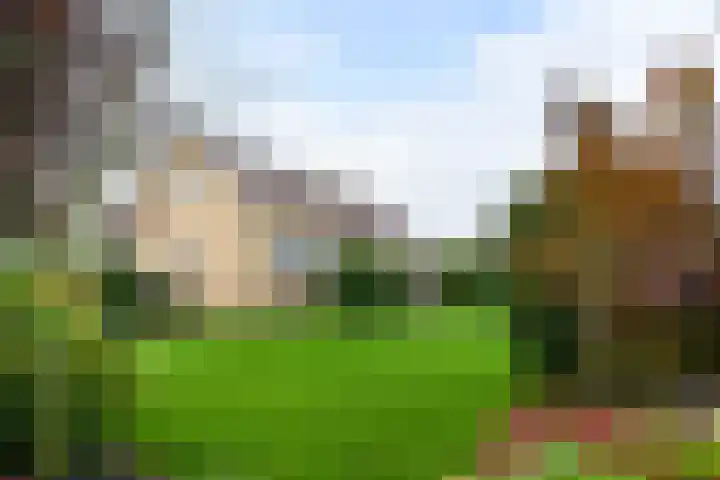 A.H. Verweijweg 4 Berkel en Rodenrijs thumbnail 4