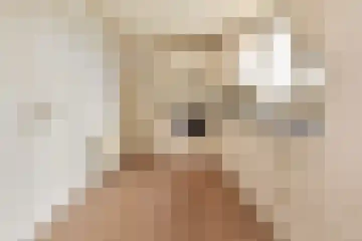 A.H. Verweijweg 4 Berkel en Rodenrijs thumbnail 6