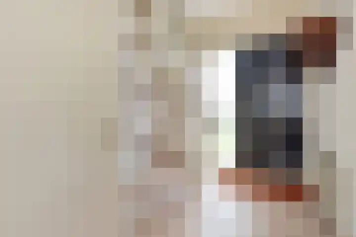A.H. Verweijweg 4 Berkel en Rodenrijs thumbnail 8