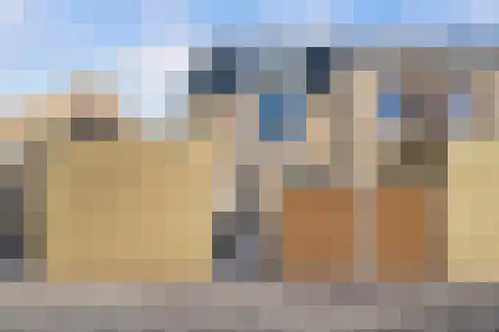 A.J. Albertsstraat 1 J Heinenoord thumbnail 4