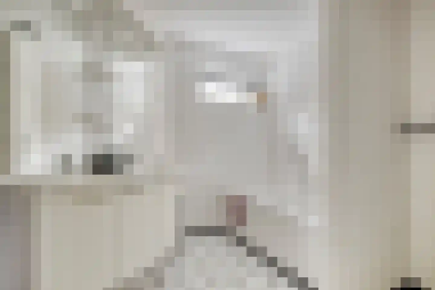 A.J. Knipmeijerlaan 1 Emmeloord thumbnail 24