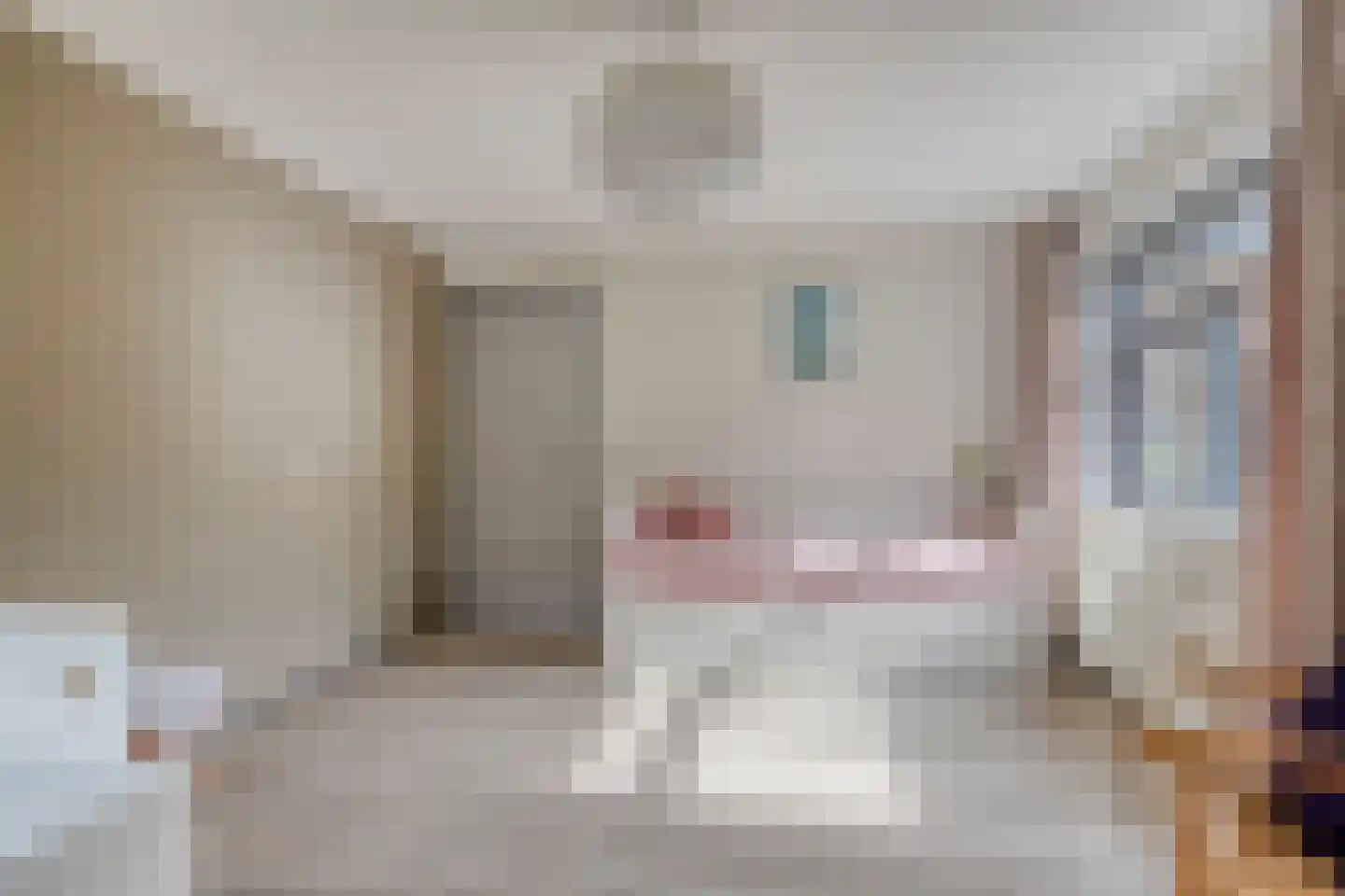 A.J. Knipmeijerlaan 1 Emmeloord thumbnail 32
