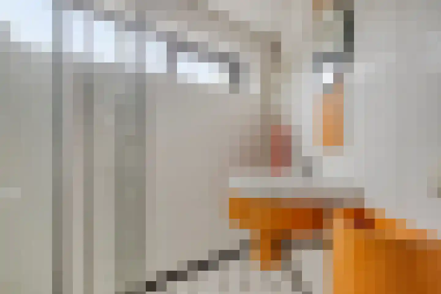 A.J. Knipmeijerlaan 1 Emmeloord thumbnail 33