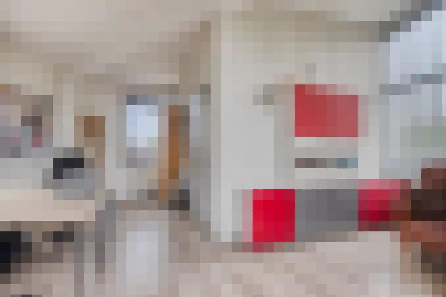 A.J. Knipmeijerlaan 1 Emmeloord thumbnail 36