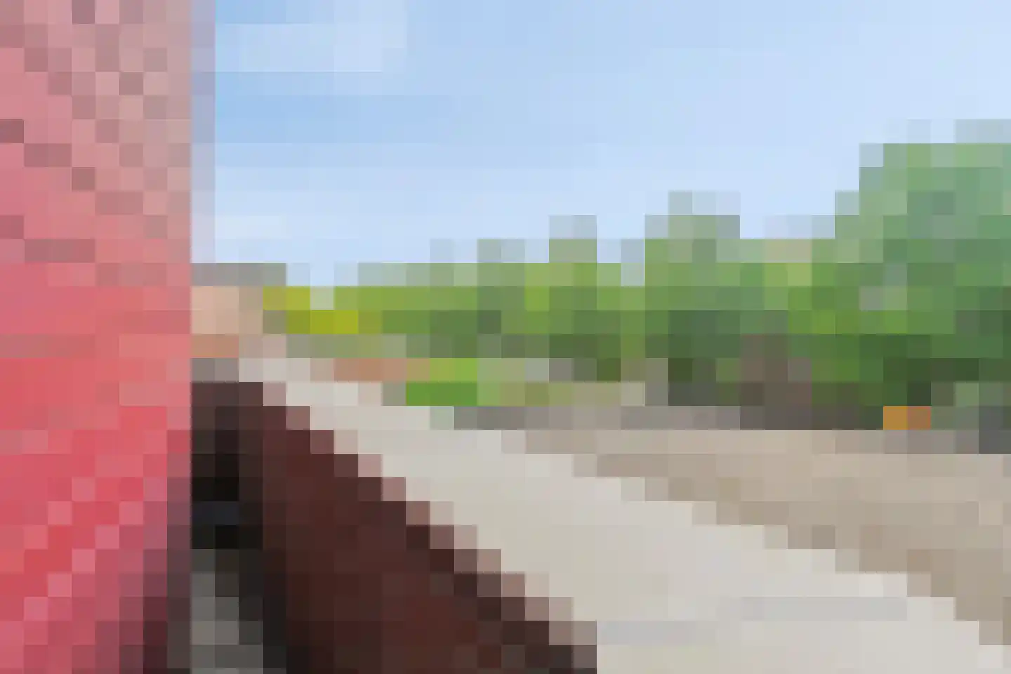 A.J. Knipmeijerlaan 1 Emmeloord thumbnail 37